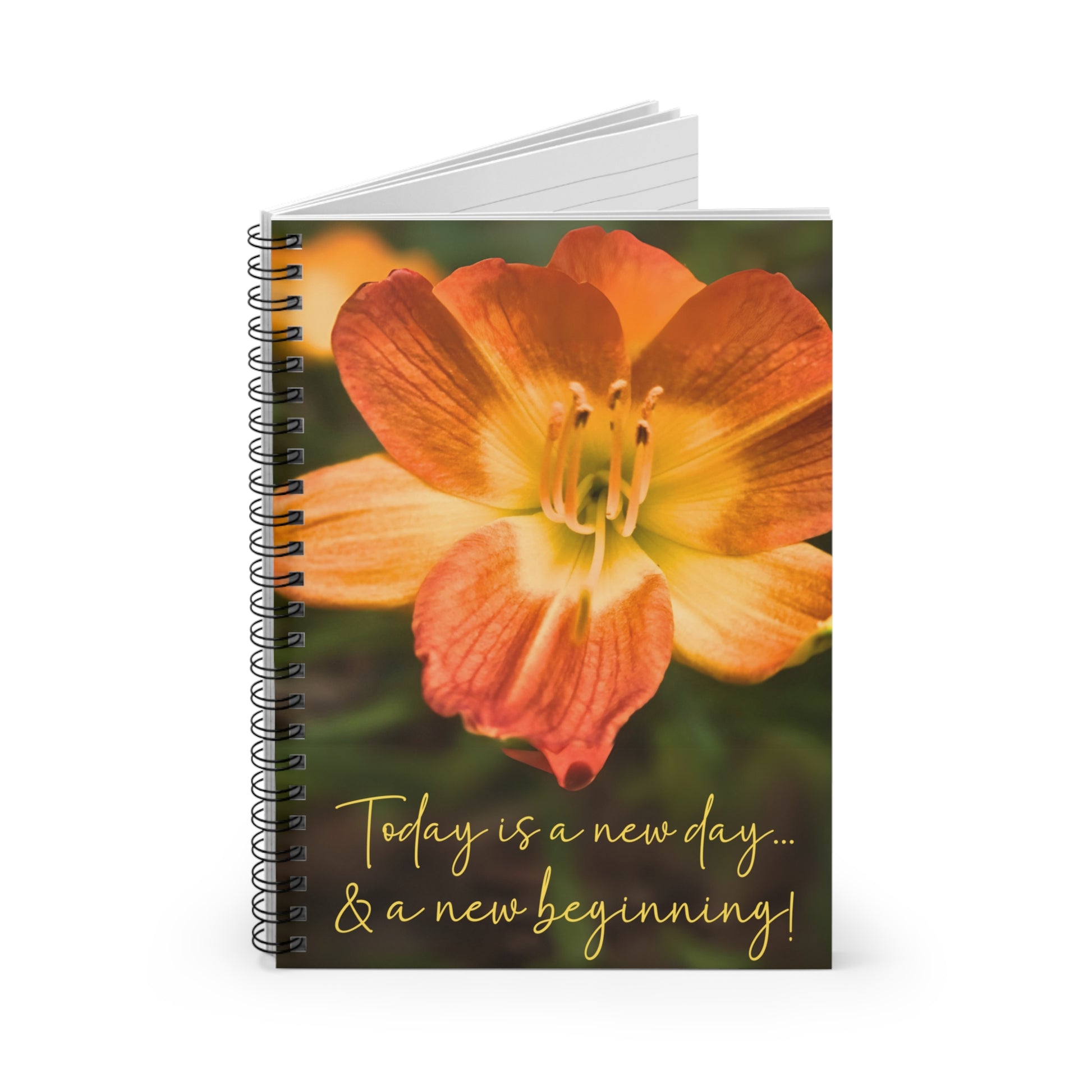 Positivity notebook for well-being for gift or self, open view.