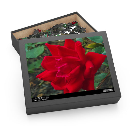 Rose Jigsaw Puzzle for family fun 500-piece, front view.