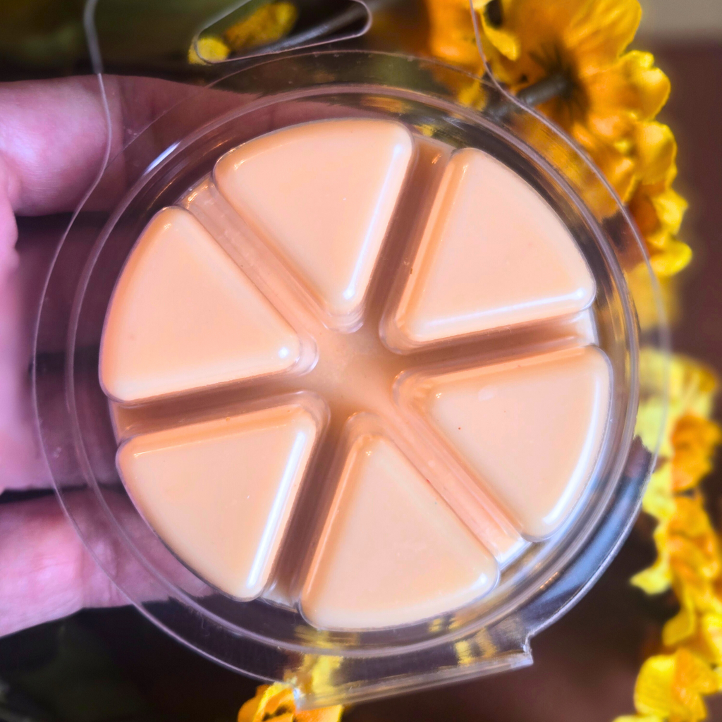 Natural soy wax melts in a pumpkin cinnamon bun scent, perfect for autumn, back view.