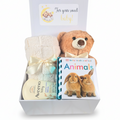 Gender neutral baby shower gift box including beige baby blanket, stuffed bear, touch and feel baby book and lavender baby lotion.