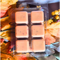 Fall Favorite: Pumpkin Pie Soy Wax Melts – Limited Edition Scent