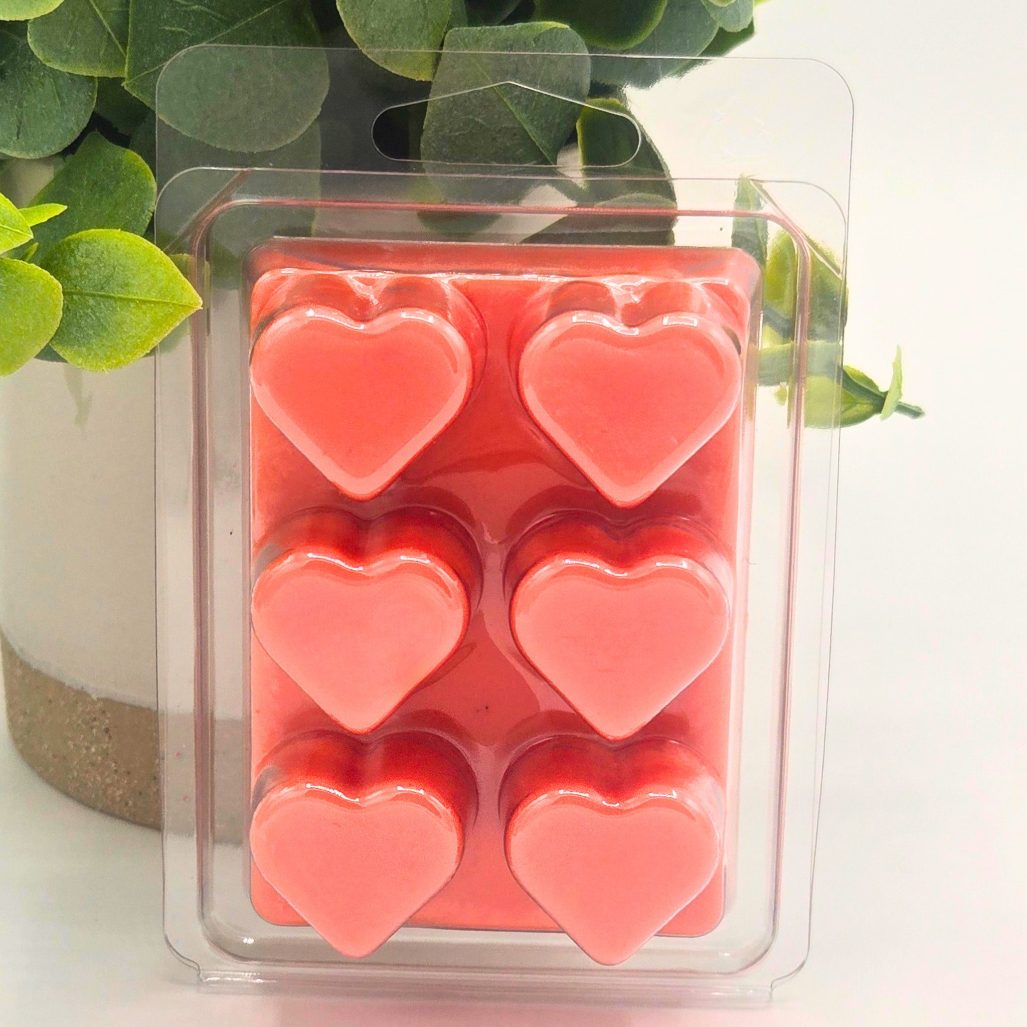 Cinnamon Spice Soy Wax Melts | Warm, Comforting Home Fragrance 2.25 oz (64 g)