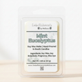 Mint Eucalyptus Wax Melts – Clean, Crisp Spa Fragrance in Natural Soy